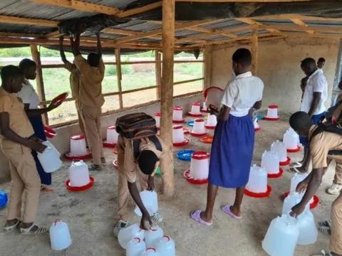 Students at the community farm